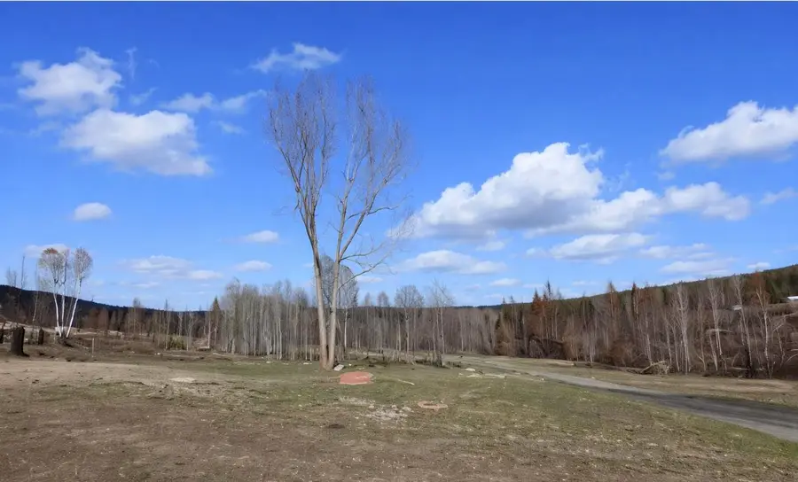 2433 B Widow Rd, Colville, WA 99114 - #2