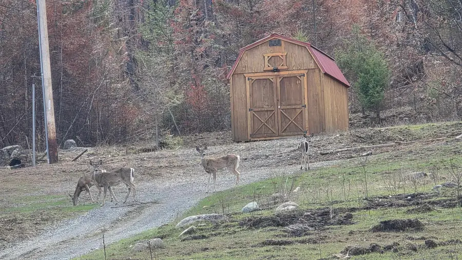 2433 B Widow Rd, Colville, WA 99114 - #3