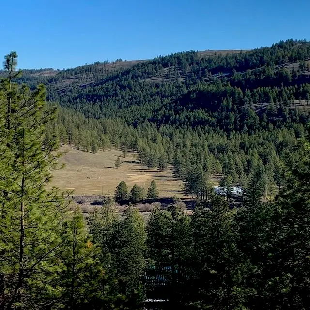 Lot 2 Scenic Short Plat Dr, Davenport, WA 99122 - #2