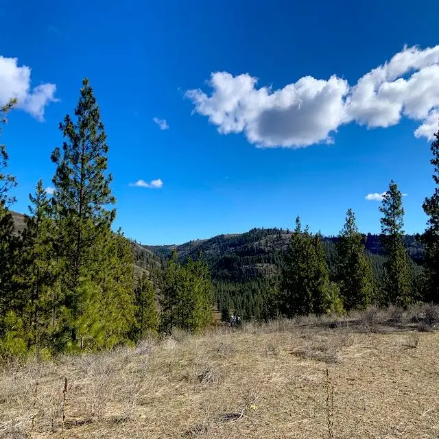 Lot 2 Scenic Short Plat Dr, Davenport, WA 99122 - #3