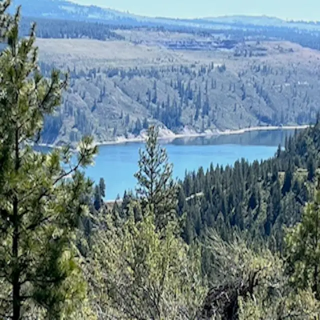 Lot 17 Bighorn Dr, Davenport, WA 99122 - #1