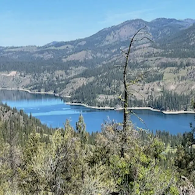 Lot 17 Bighorn Dr, Davenport, WA 99122 - #2
