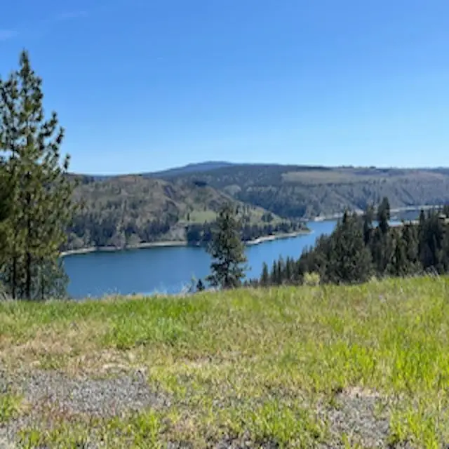 Lot 13 Quill Dr, Davenport, WA 99122 - #1