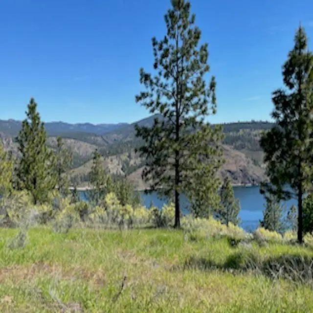 Lot 13 Quill Dr, Davenport, WA 99122 - #2