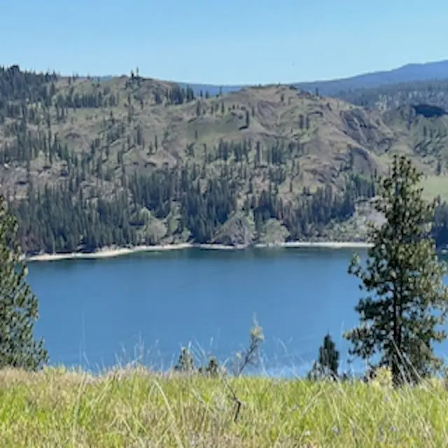 Lot 13 Quill Dr, Davenport, WA 99122 - #3