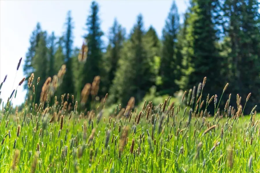 XXXX Hwy 211, Newport, WA 99156 - #3