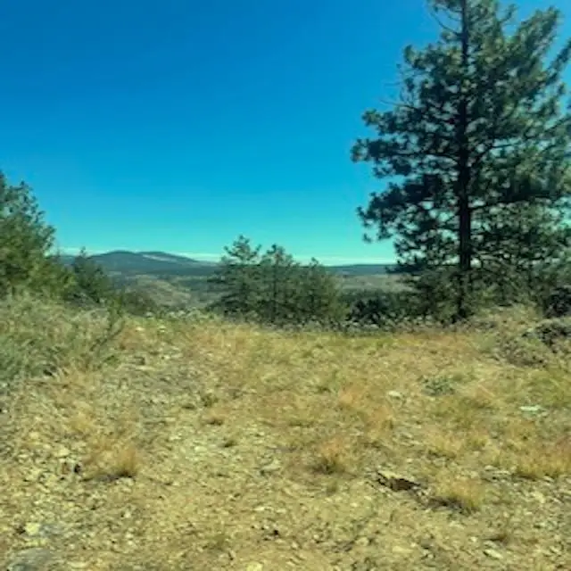 Lot 27 Bighorn Dr, Davenport, WA 99122 - #2