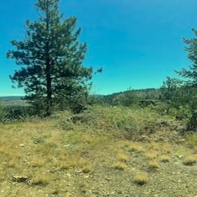 Lot 27 Bighorn Dr, Davenport, WA 99122 - #3