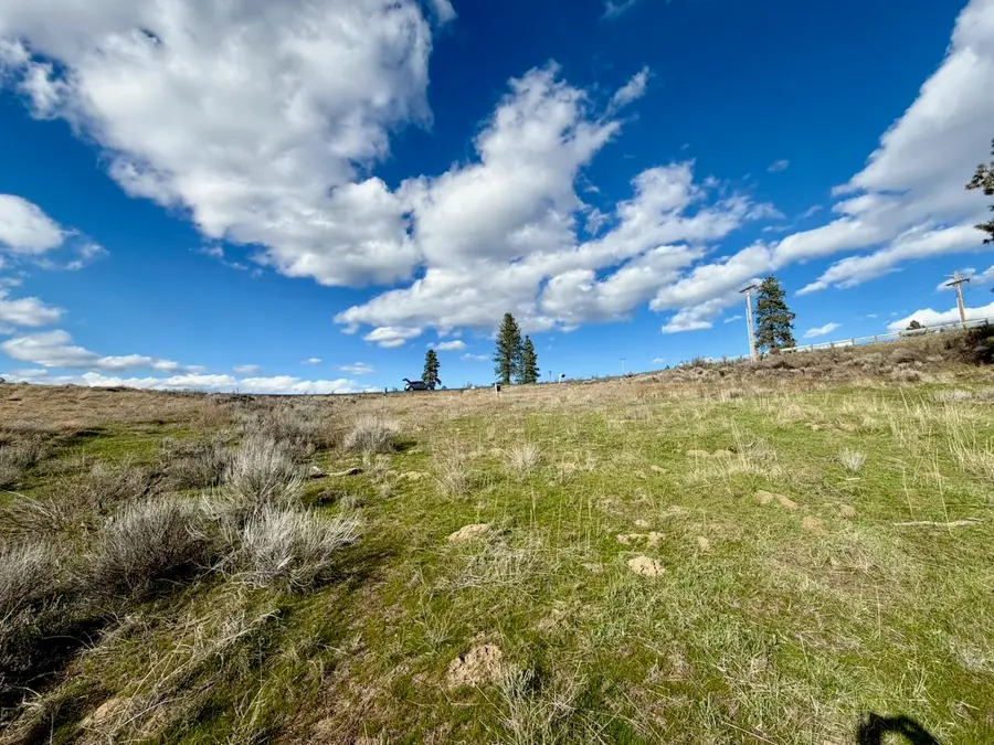 42255 Deer Heights N Dr, Deer Meadows, WA 99122 - #2