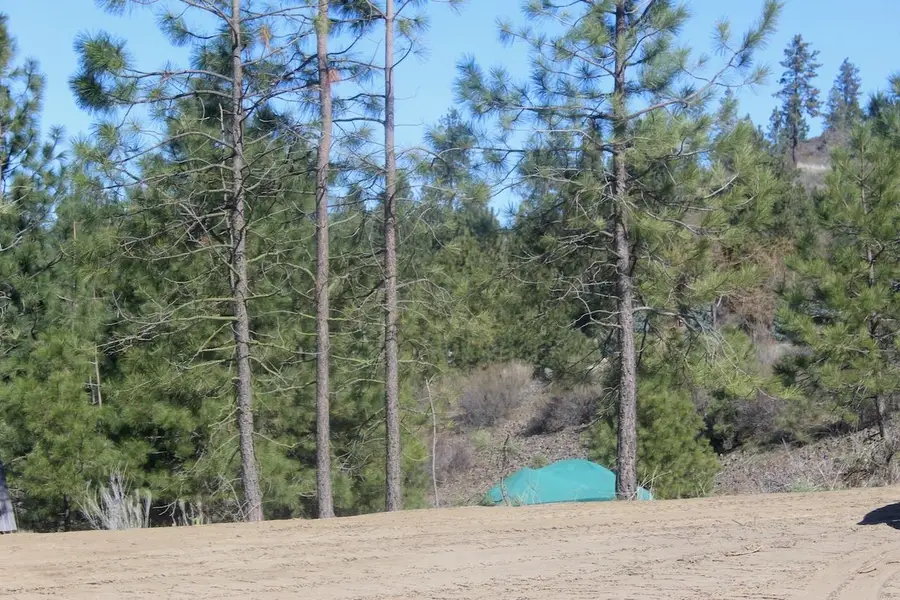 39555 N Peach Orchard Way, Seven Bays, WA 99122 - #3