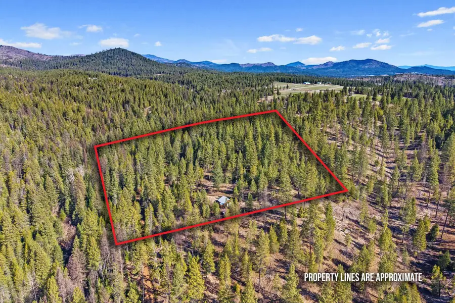 5324 Olinger Rd, Springdale, WA 99173 - #3