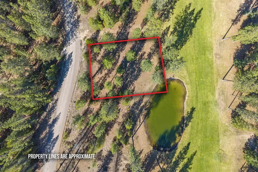 XXX Couples Ct, Chewelah, WA 99109 - #2