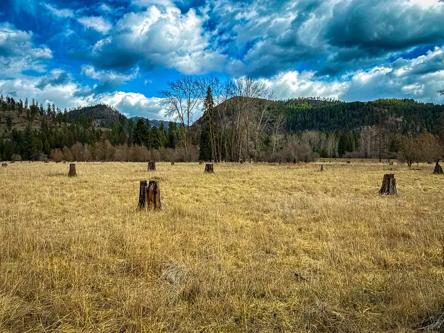 NKA Best Chance Rd, Usk, WA 99180 - #2