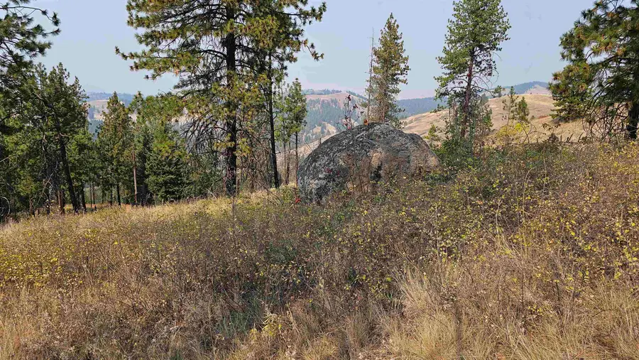 5884 H Coyote Canyon Rd, Fruitland, WA 99129 - #2