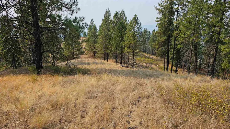 5884 H Coyote Canyon Rd, Fruitland, WA 99129 - #3