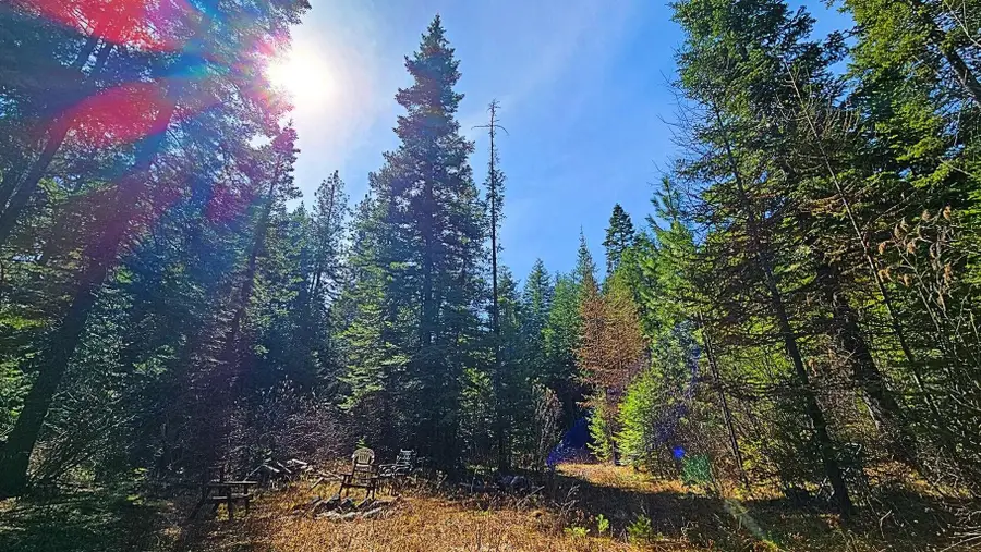 4XXX Nellie Smith Way, Valley, WA 99181-0000 - #2