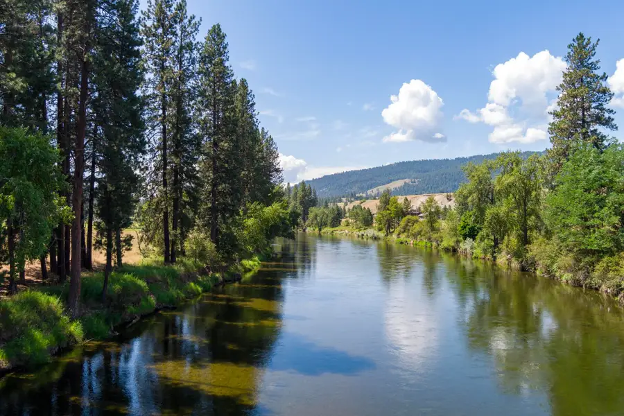 T B D Boundary Rd, Curlew, WA 99121 - #2