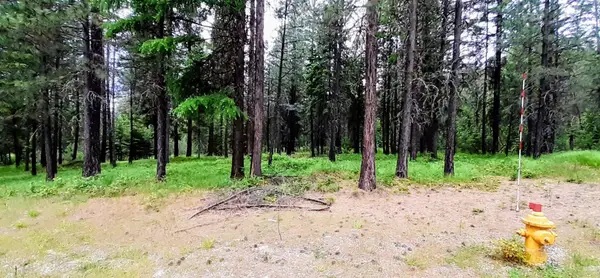 4XX Couples Pl, Chewelah, WA 99109