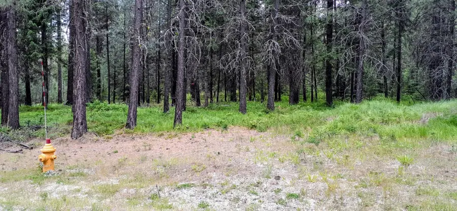 4XX Couples Pl, Chewelah, WA 99109 - #2