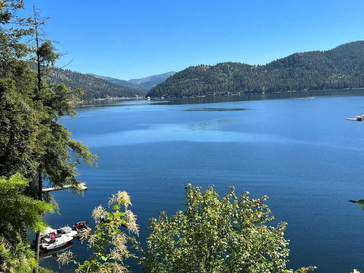 3852 W Pine Bay Way, Loon Lake, WA 99148 - #1