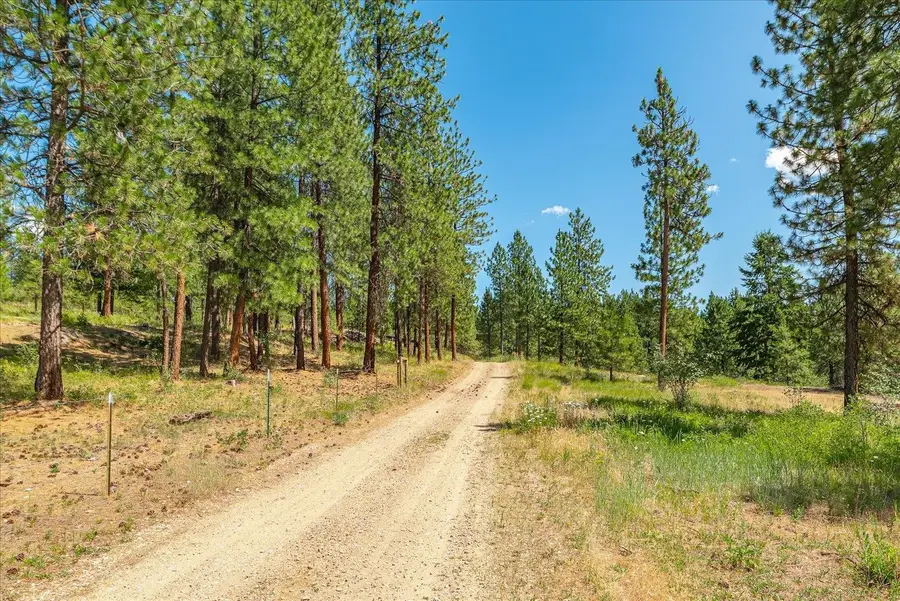 786X Arden Butte Rd, Colville, WA 99114 - #3