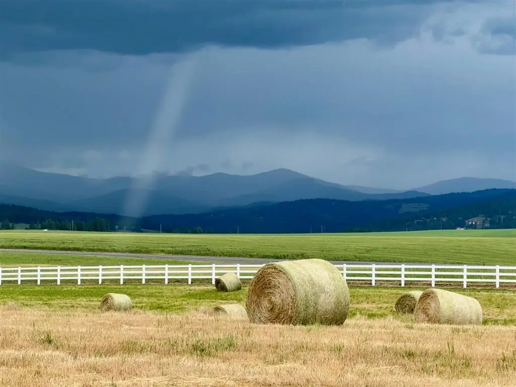 11300 N Bruce Rd, Colbert, WA 99217 - #1