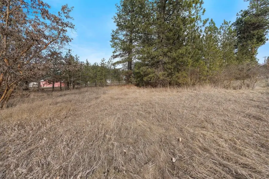 XXX N Boston Rd, Colbert, WA 99005 - #2