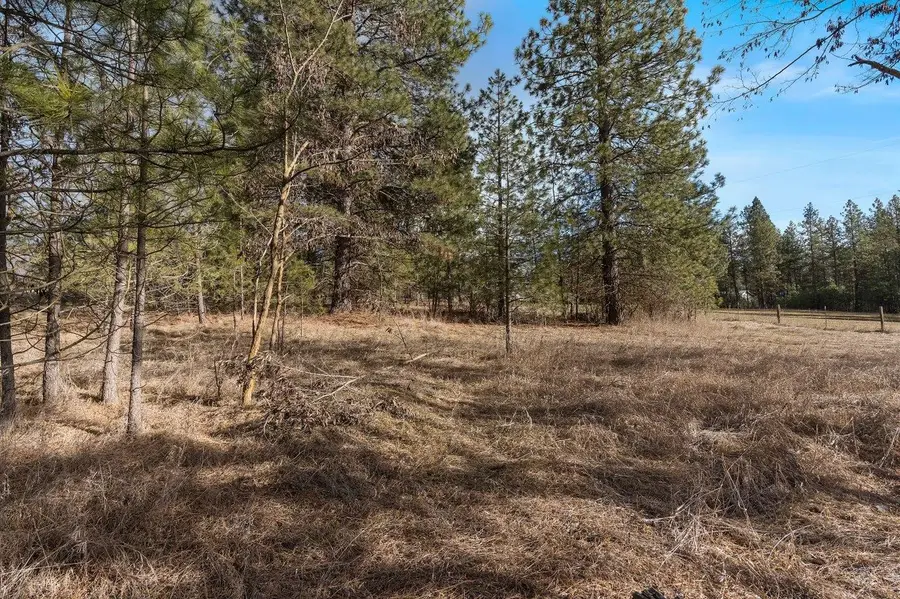 XXX N Boston Rd, Colbert, WA 99005 - #3