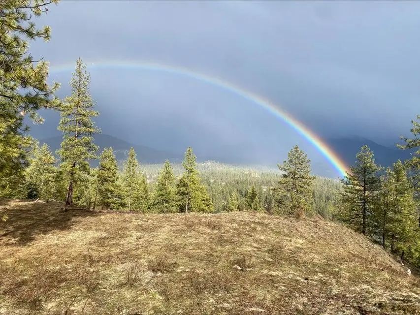 1644 Palmer Loop, Chewelah, WA 99109 - #3