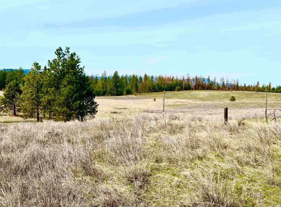 XX W Webb Ave, Springdale, WA 99173 - #2