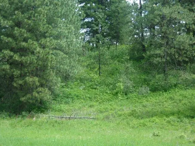 XXXO Hoag Rd, Valley, WA 99181 - #2