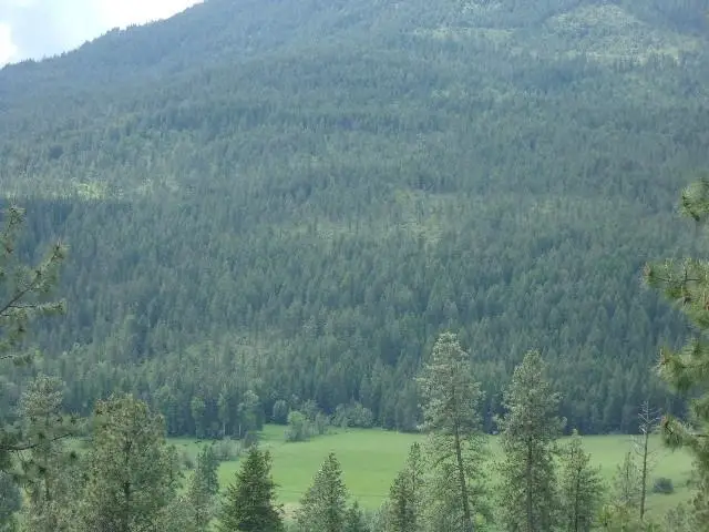 XXXO Hoag Rd, Valley, WA 99181 - #3