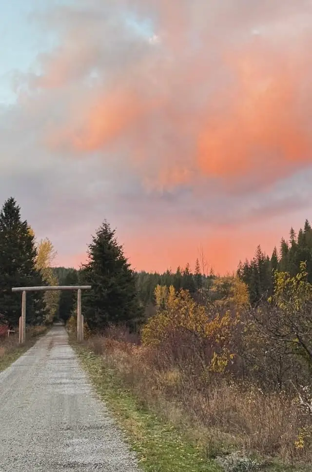 8XX Little Spokane River Rd, Newport, WA 99156 - #2