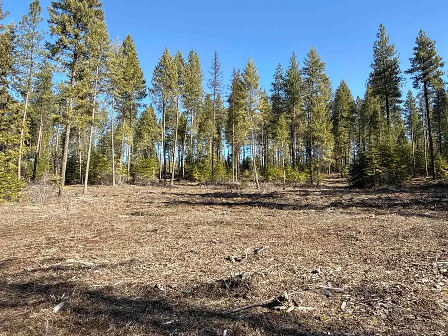 NKA Usfs 326 Rd, Cusick, WA 99119 - #2