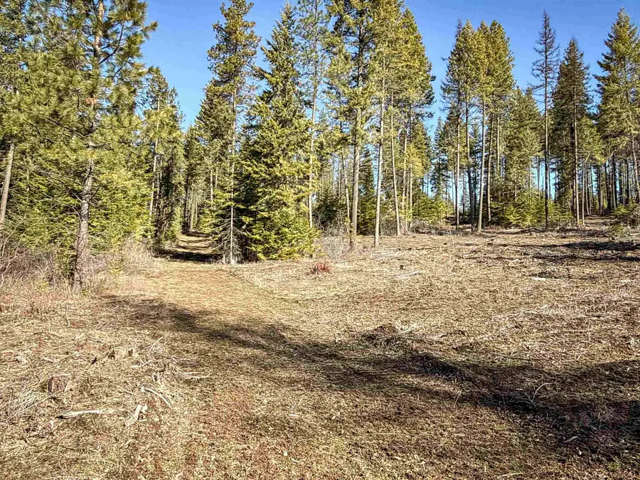 NKA Usfs 326 Rd, Cusick, WA 99119 - #3
