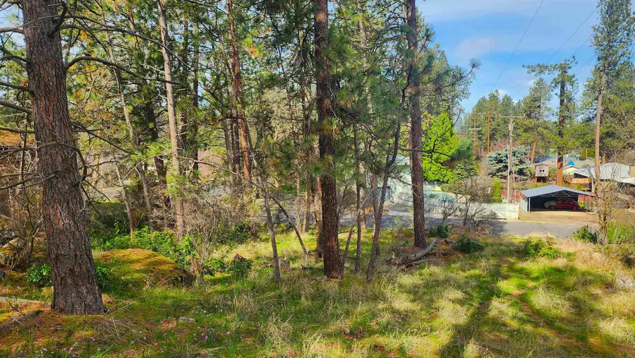 1815 S Eastern Road Rd, Spokane Valley, WA 99212 - #3