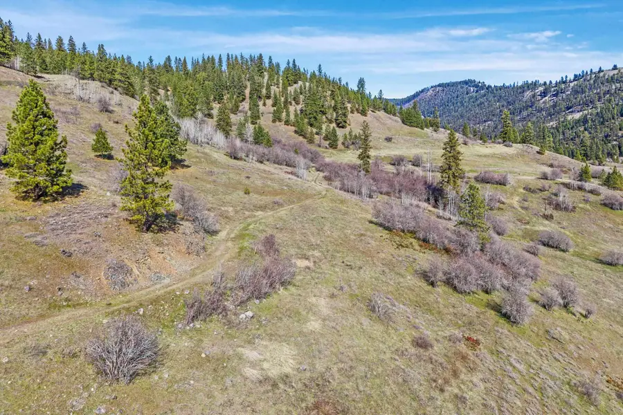 30XX Pierre Lake Rd, Kettle Falls, WA 99141 - #3