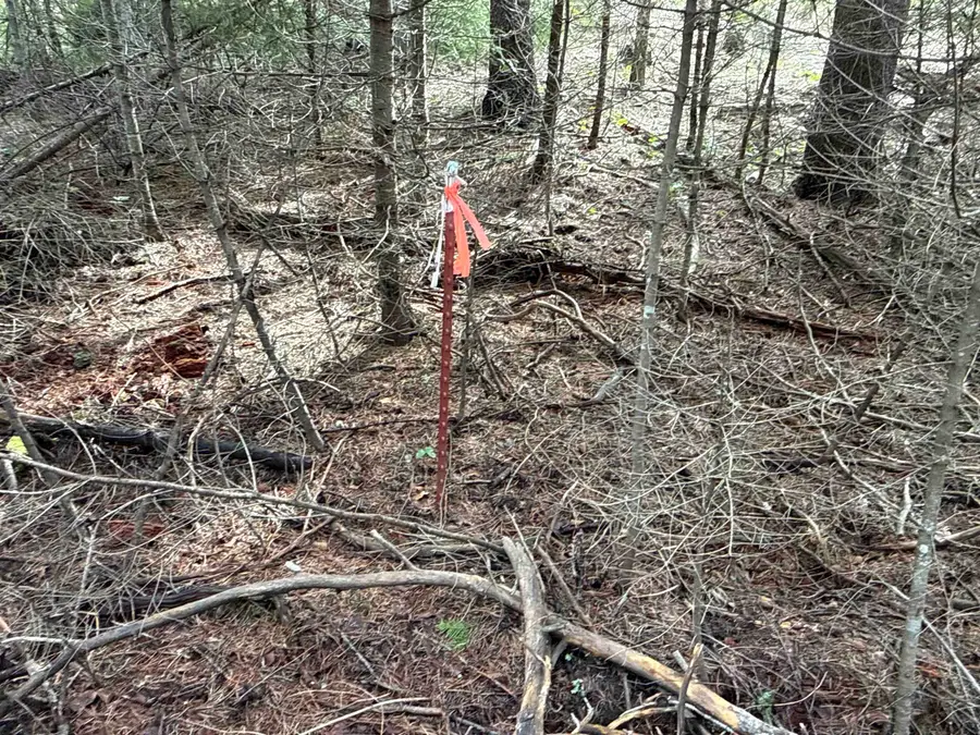 NKA Eagle Ridge Way, Springdale, WA 99173 - #2