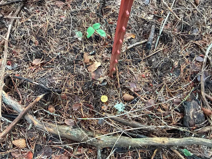 NKA Eagle Ridge Way, Springdale, WA 99173 - #3