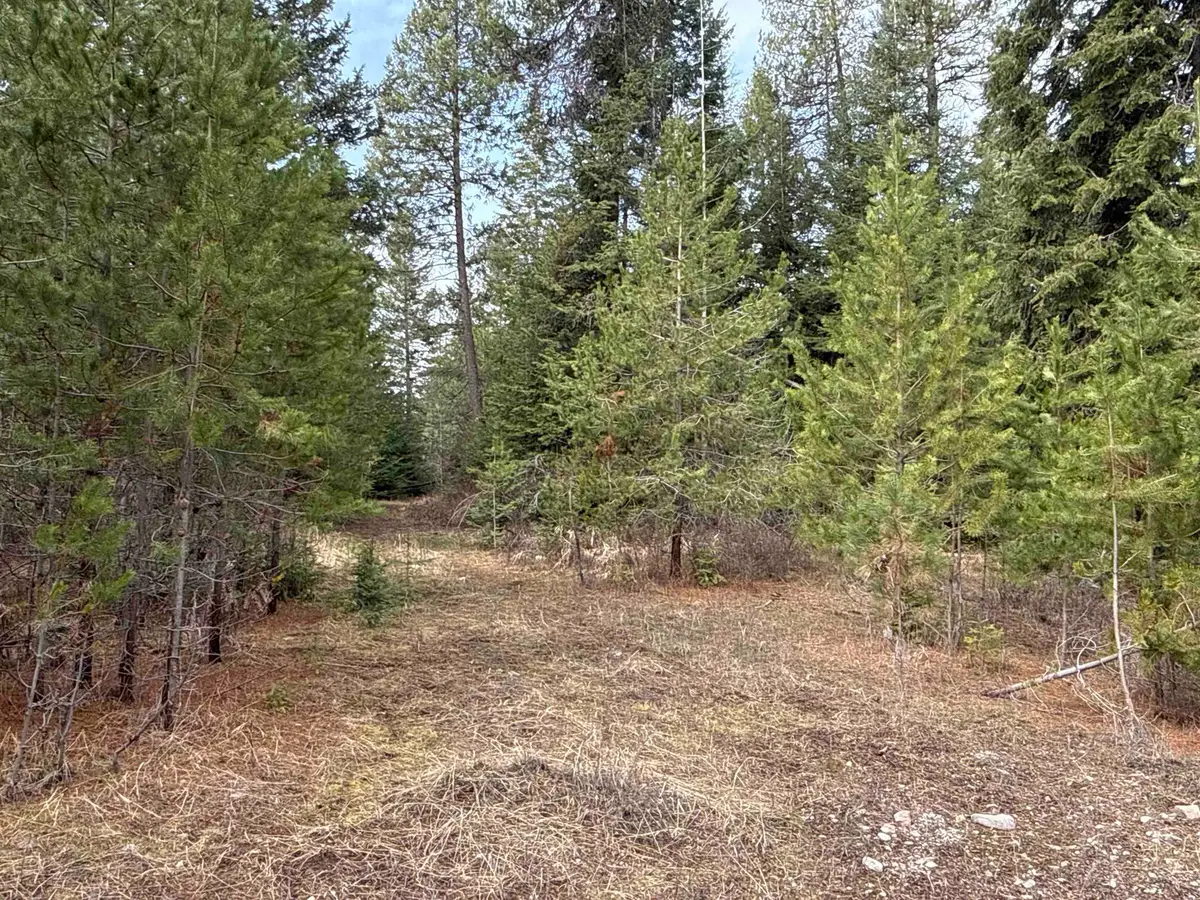 4828 Eagle Ridge Way, Springdale, WA 99173 - #1