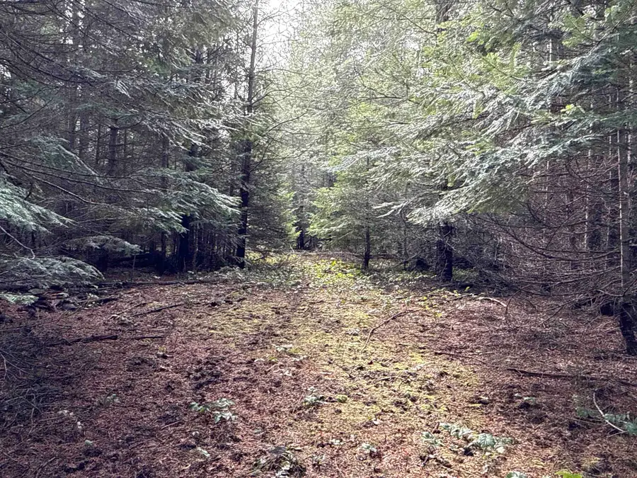 4828 Eagle Ridge Way, Springdale, WA 99173 - #2