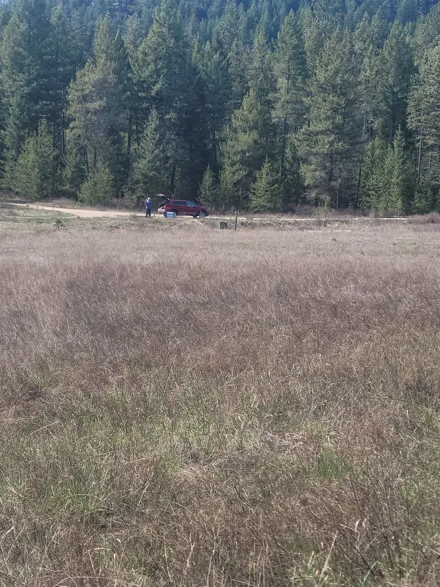 4528 Stonebrook Way, Springdale, WA 99173 - #3