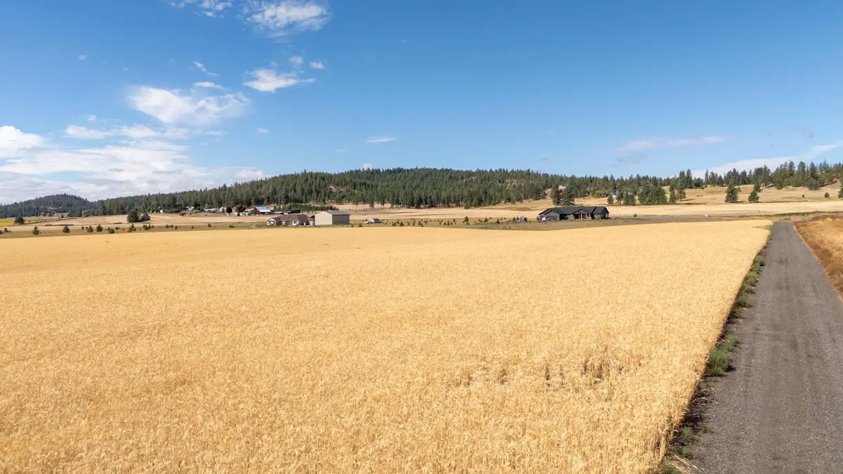 24XXX N Spotted Rd, Deer Park, WA 99006 - #1