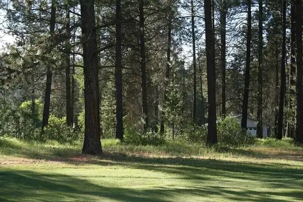 205 Eagle Dr, Chewelah, WA 99109-9602