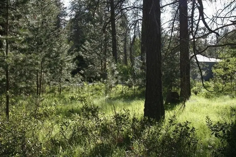 205 Eagle Dr, Chewelah, WA 99109-9602 - #3