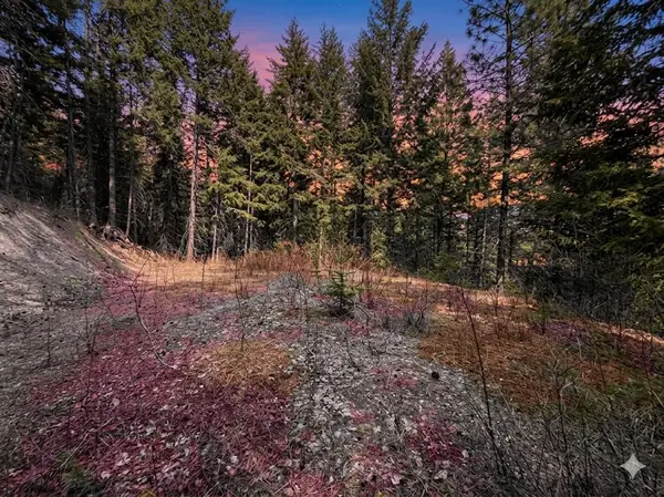 NNA Buck Creek Rd, Loon Lake, WA 99148