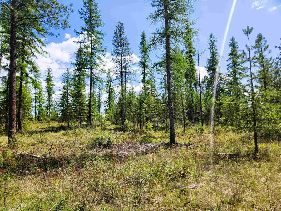 3669 E Jump Off Joe Rd, Valley, WA 99181 - #2