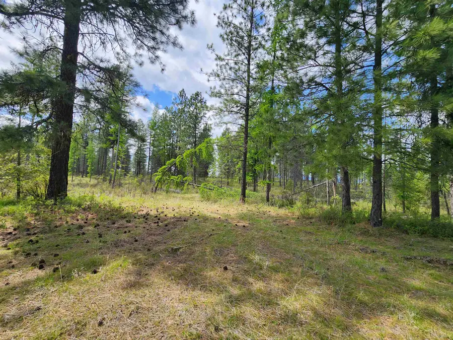 3669 E Jump Off Joe Rd, Valley, WA 99181 - #3