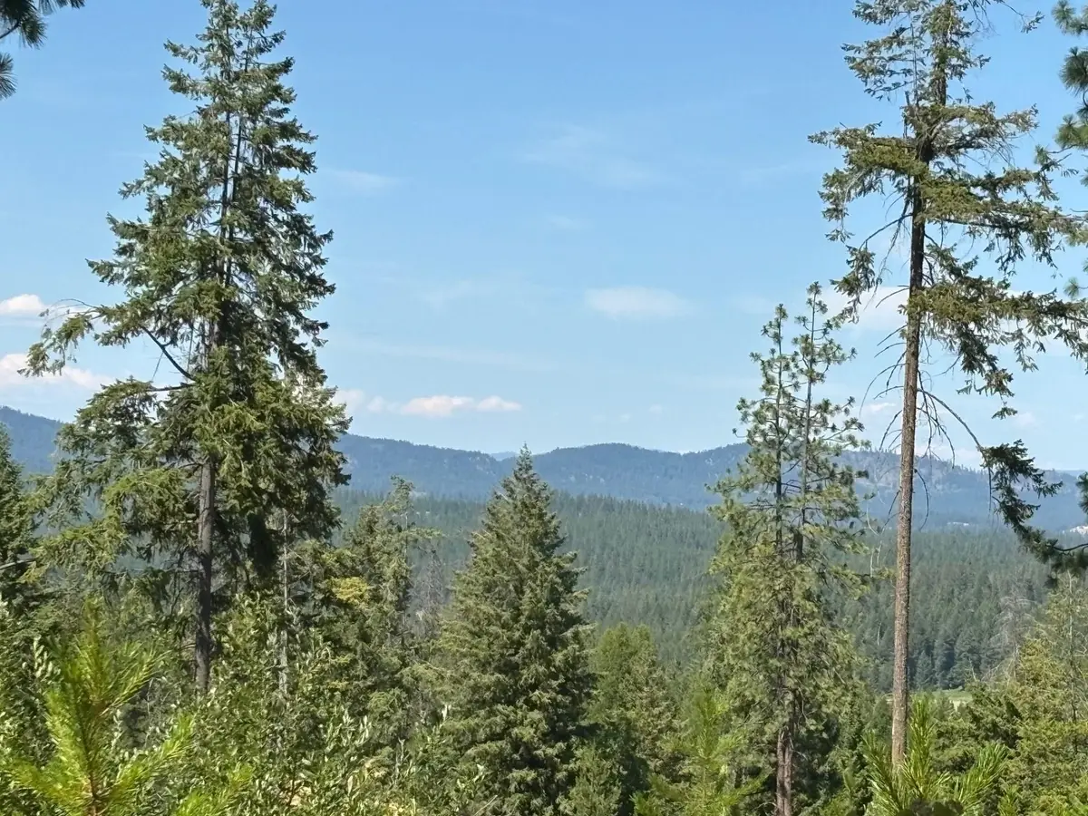 34711 N Waldrons Ln, Chattaroy, WA 99003 - #1