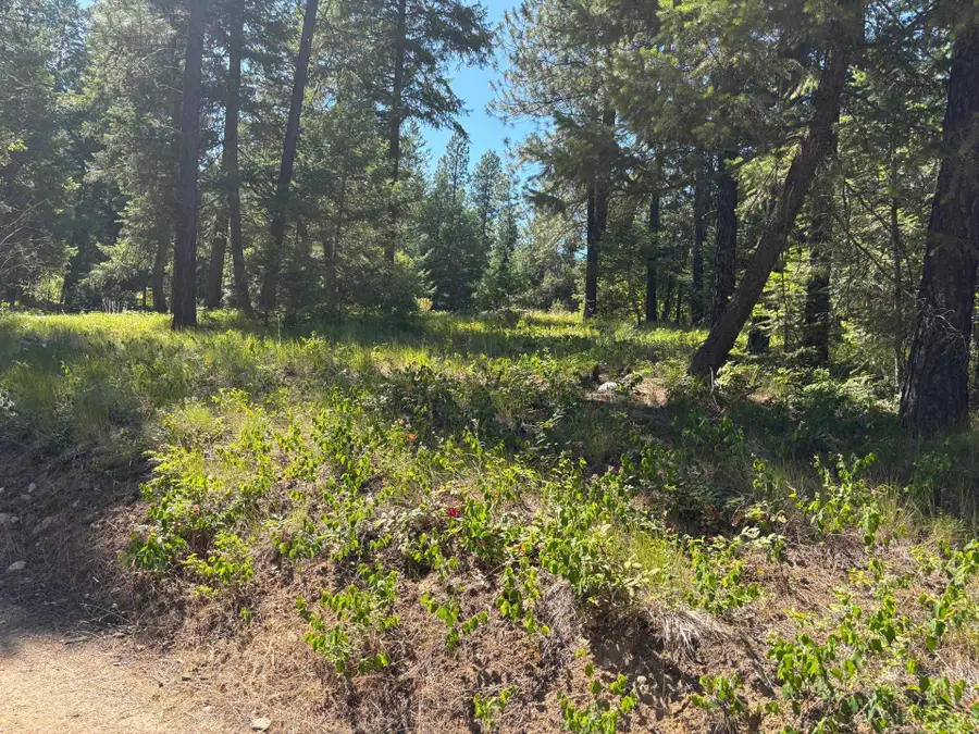 34711 N Waldrons Ln, Chattaroy, WA 99003 - #3